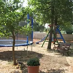 Ane Loborika