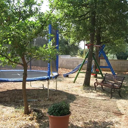 Ane Loborika