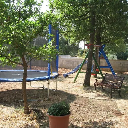 Ane Loborika