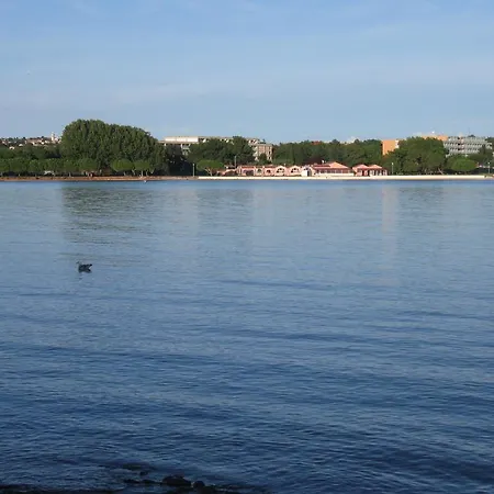Ane Loborika